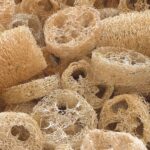 SPUGNA in LUFFA Italiana - immagine 3